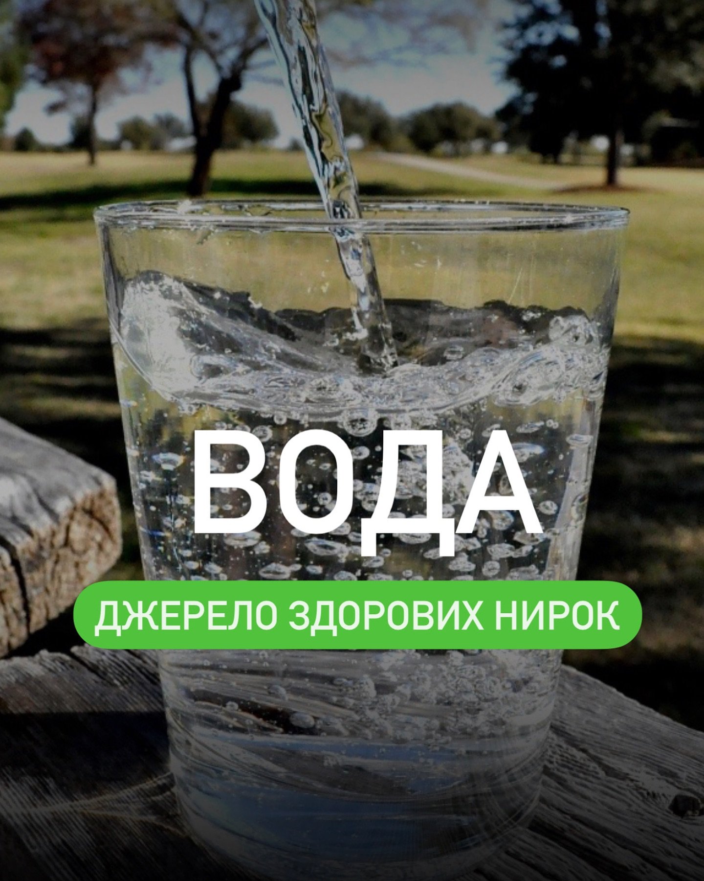 Вода — джерело здоров’я нирок - Медичний центр Вітамін