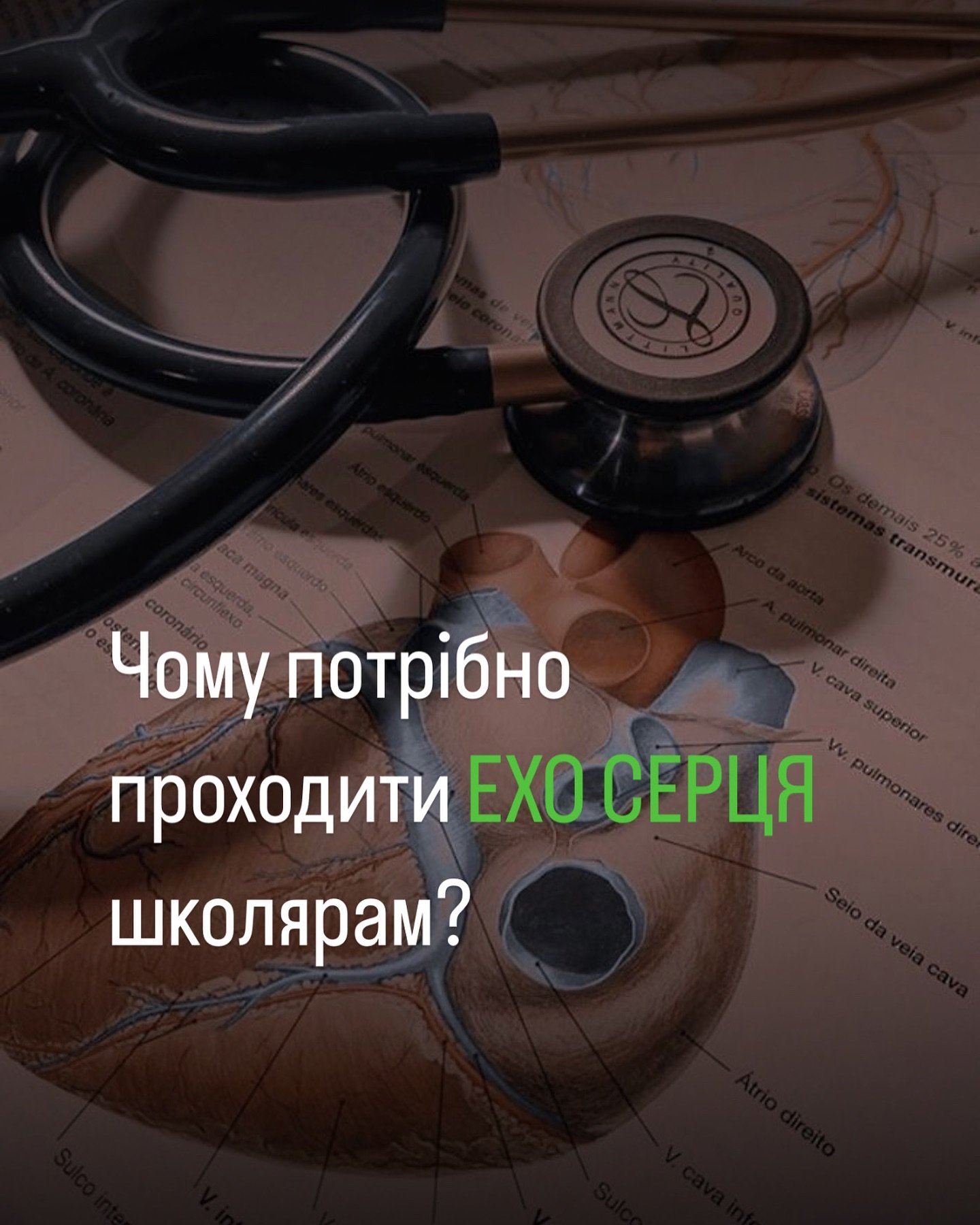 Ехокардіографія для школярів – це важлива процедура, яка допомагає вчасно виявити можливі проблеми із серцем та зберегти здоров’я вашої дитини. - Медичний центр Вітамін